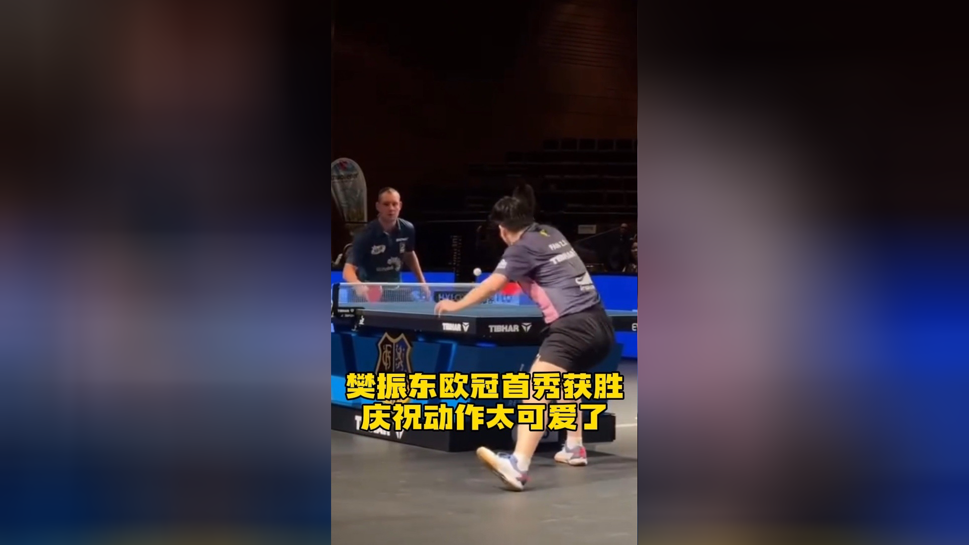 英国乒乓球队横扫波兰乒乓球队，樊振东高光表现的简单介绍