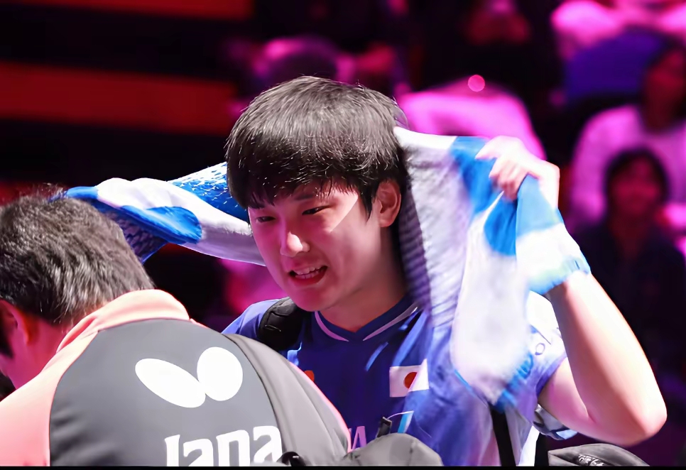 关于葡萄牙队横扫瑞典队，张本智和状态火热的信息