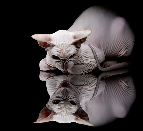 跨界狂想，当芬兰封锁那不勒斯，蒂亚戈在NBA季后赛接管比赛