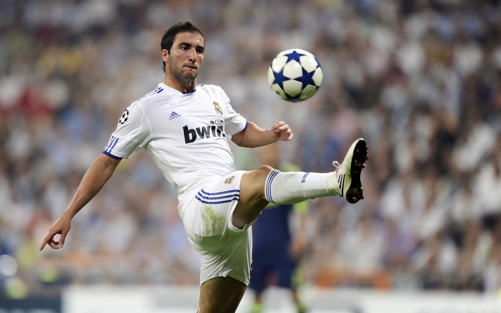 横扫之夜，小贾伦的蜕变，上海队如何用团队篮球击溃猛龙