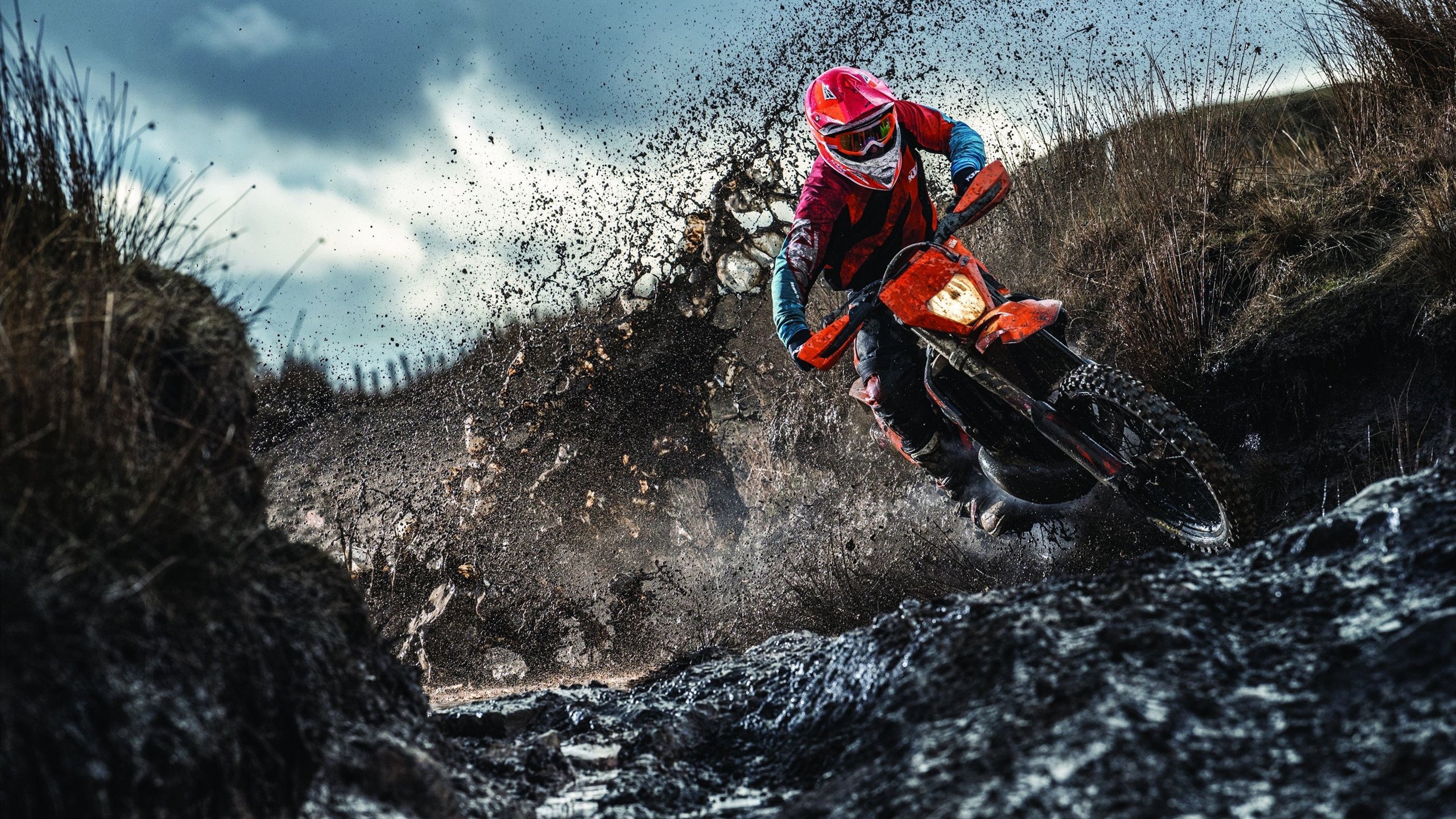 羽坛震撼日，泰国队横扫日本创历史，戴资颖高光闪耀全场